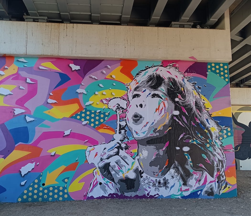 Graffiti Art - Mur du Souffle 1