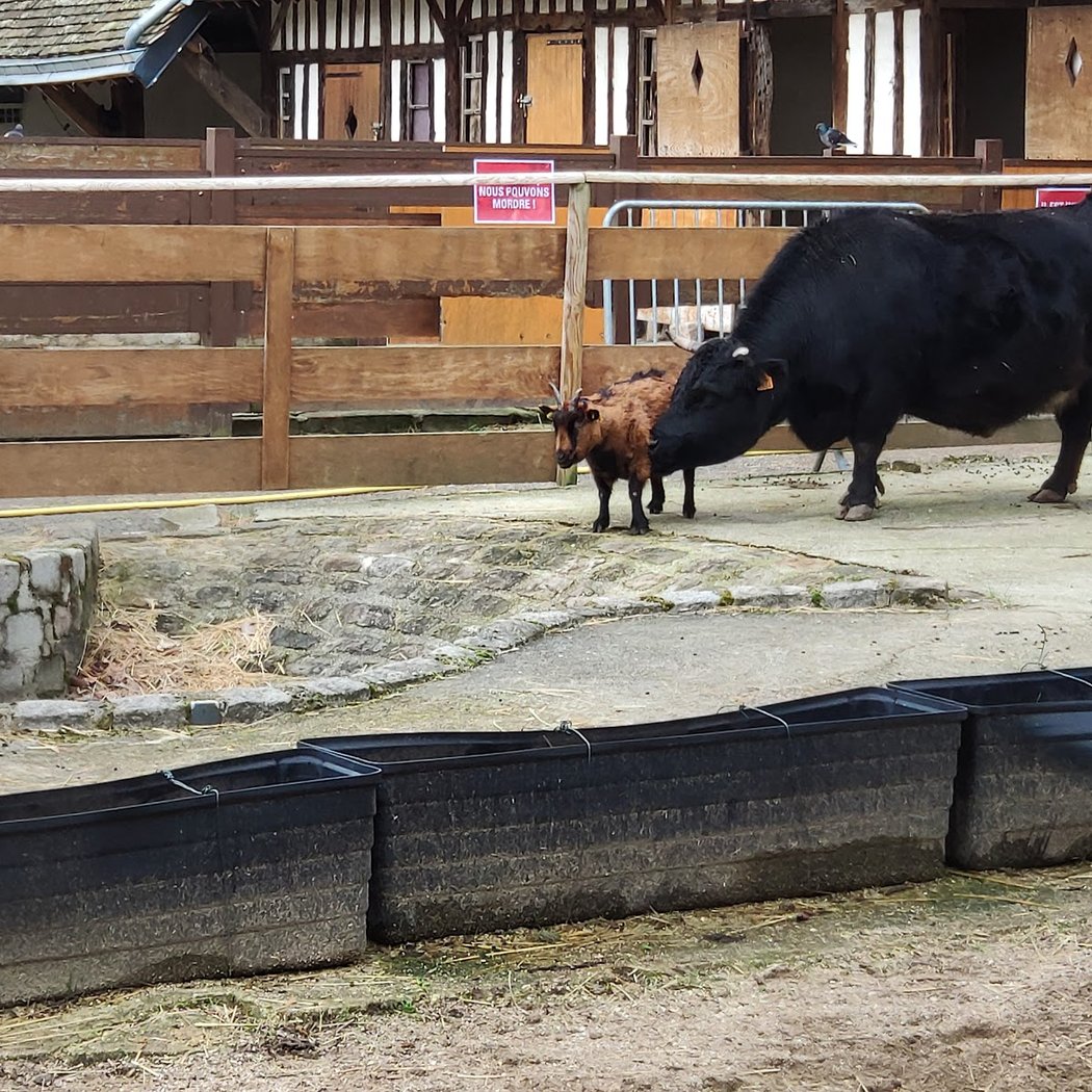 Courbet Park Farm 2