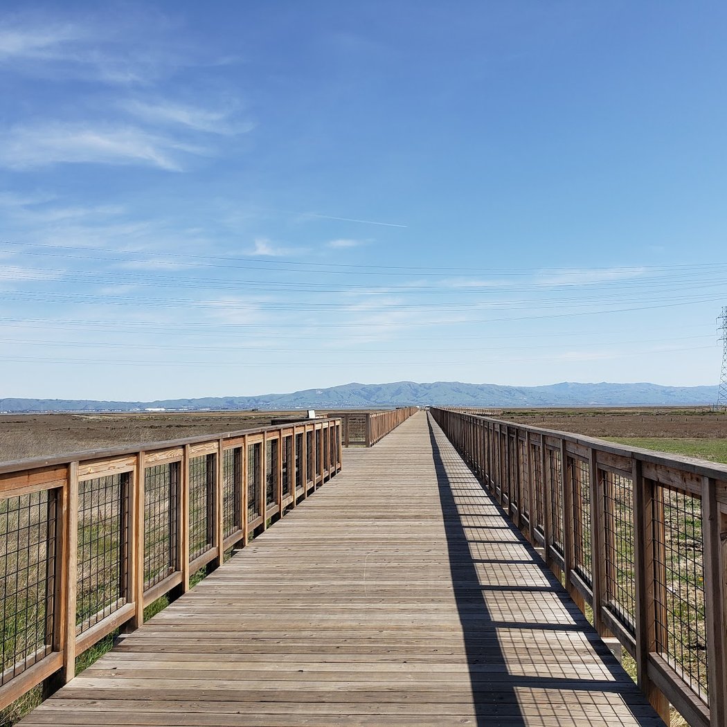 Ravenswood Open Space Preserve 1