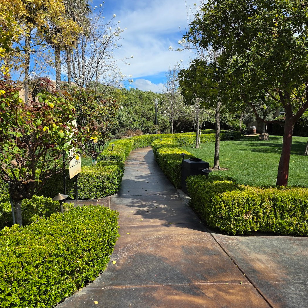 McCauley Winery Event 1