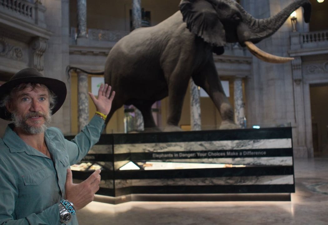 Ghost Elephants 1