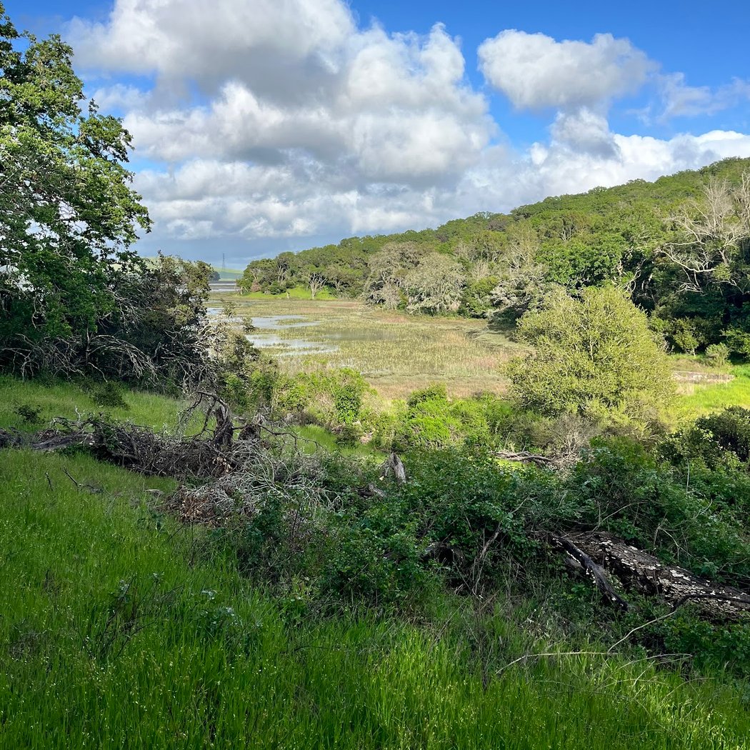 Bahia Trail at Bahia Drive 1
