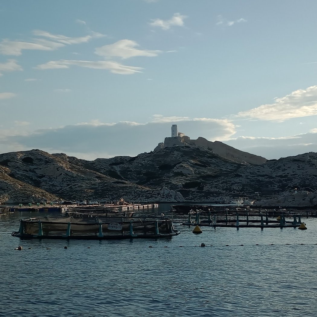 Calanque du port de Pomègues 3