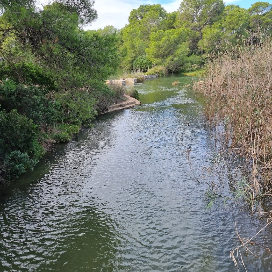 Environmental workshop: “Water and human action in s'Albufera” 3