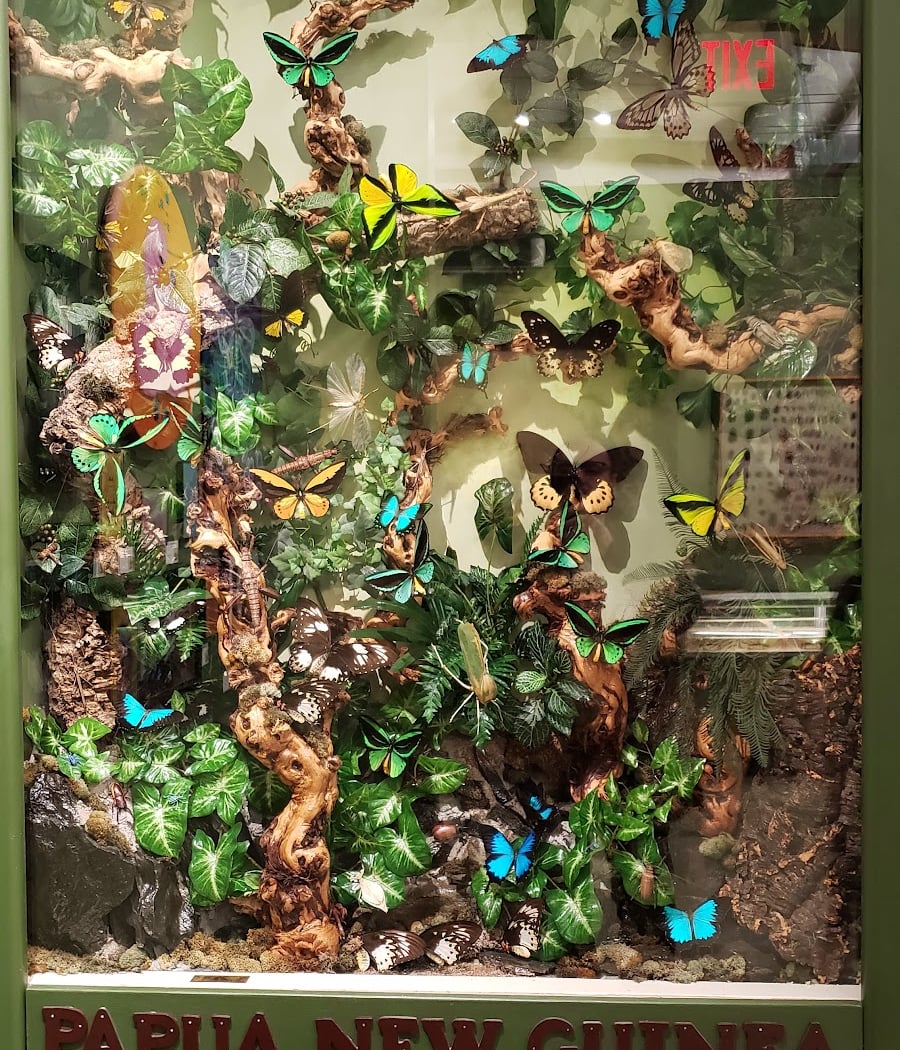 Insectropolis 3