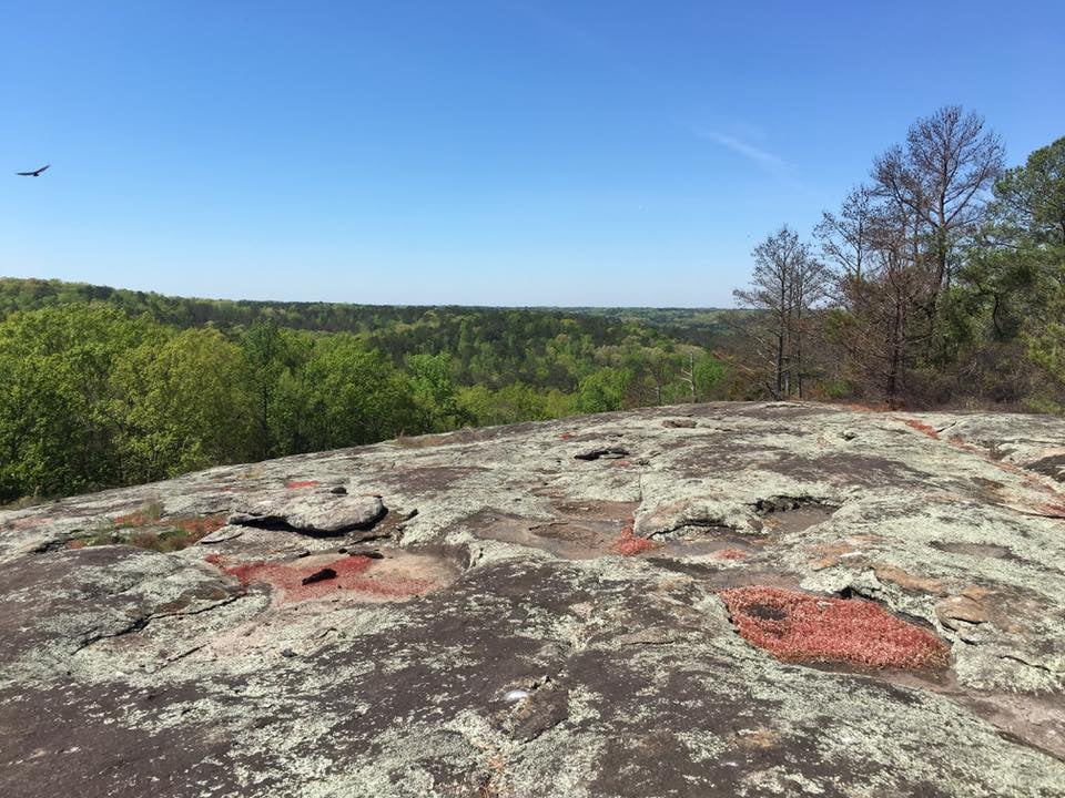 Guided Mountain Hike 2