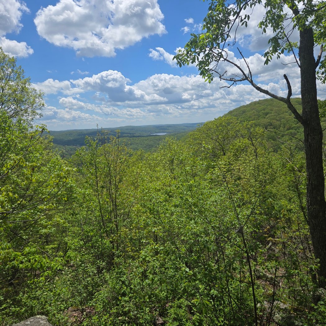 Michael Ciaiola Conservation Area (Parking) 3