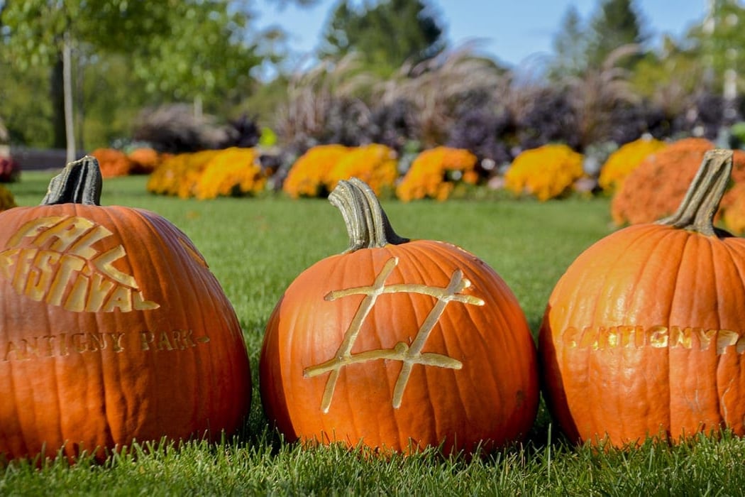 Fall Fest 3