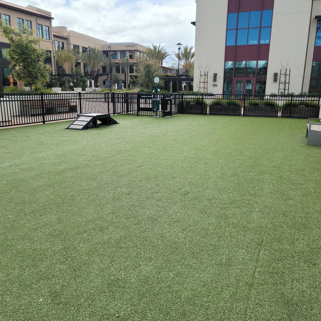 Springline - The Glade (Dog Park) 2
