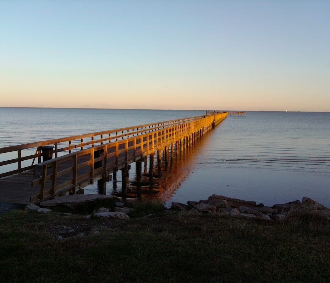Seabrook Bird Count 2
