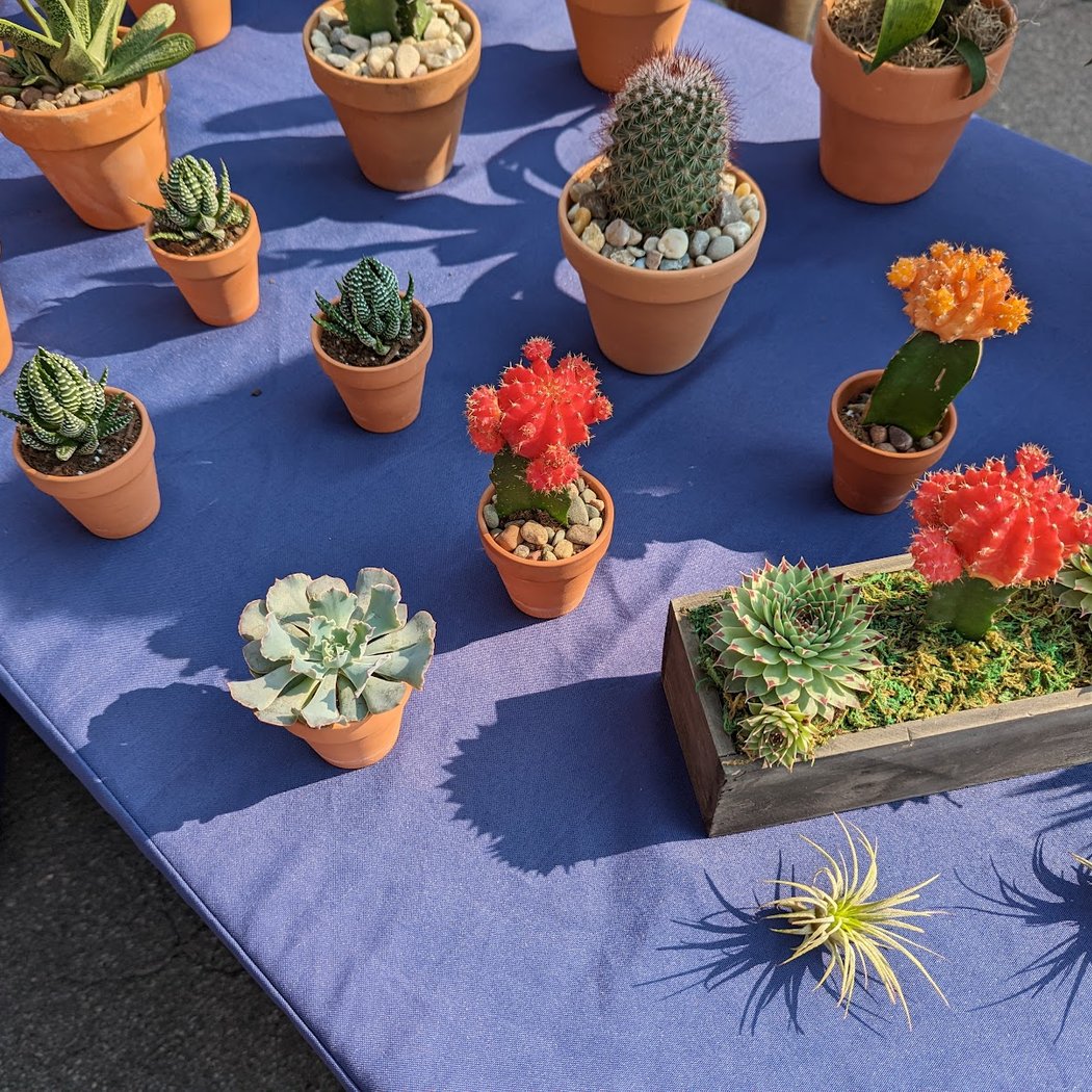 Rockville Centre Farmers Market 1