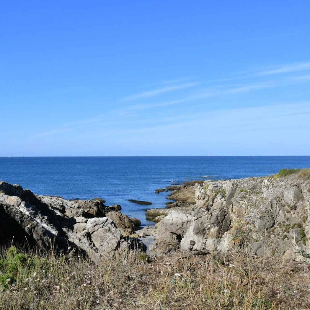 Pointe De La Pierre Plate Criques 3