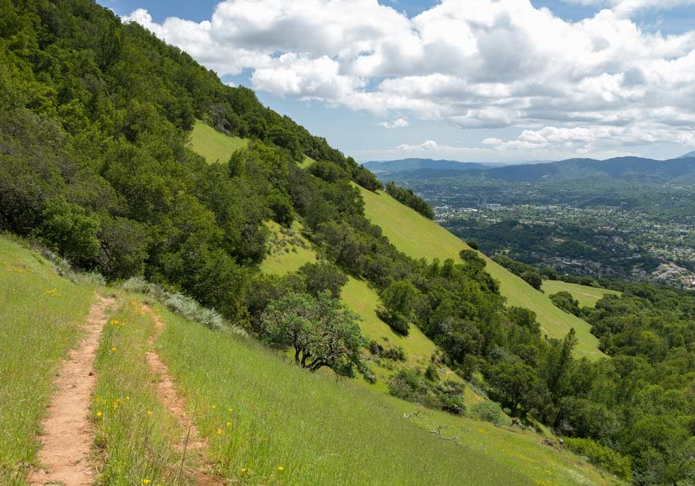 Mount Burdell Preserve 1