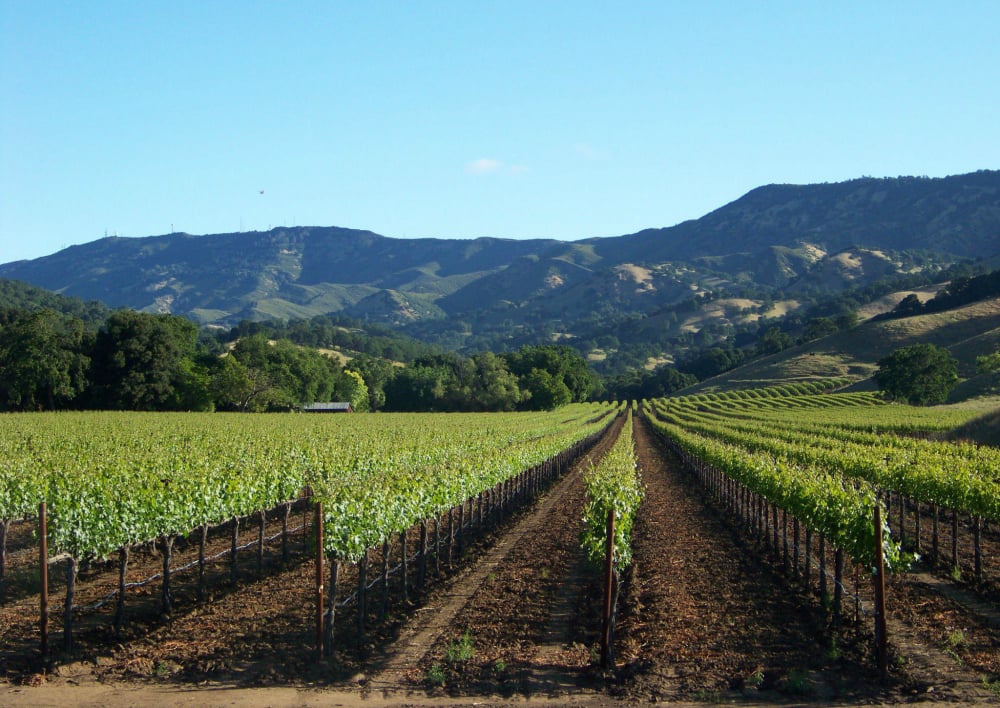 Wooden Valley Winery 1