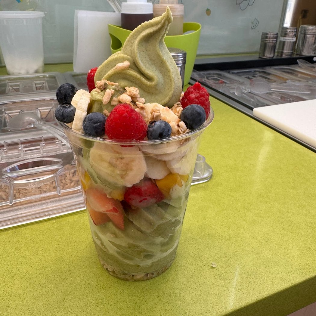 Froyola Premium Frozen Yogurt 3
