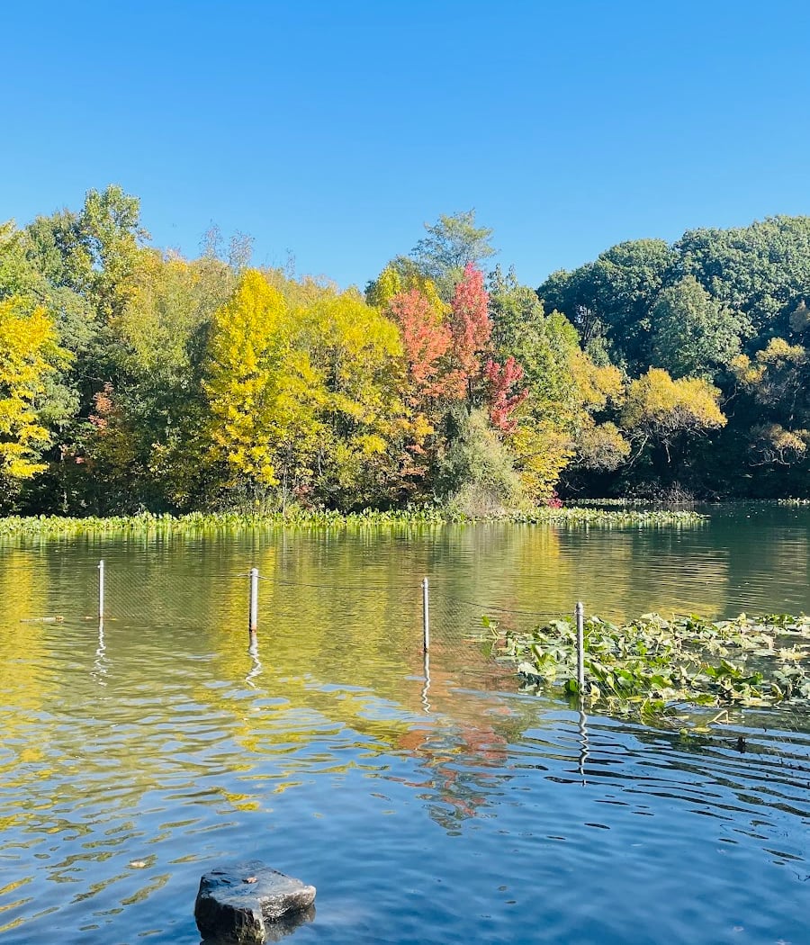 Prospect Park Dog Beach 5