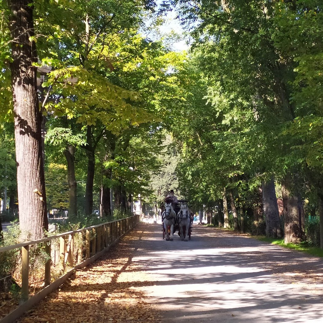 Parco delle Cascine 3