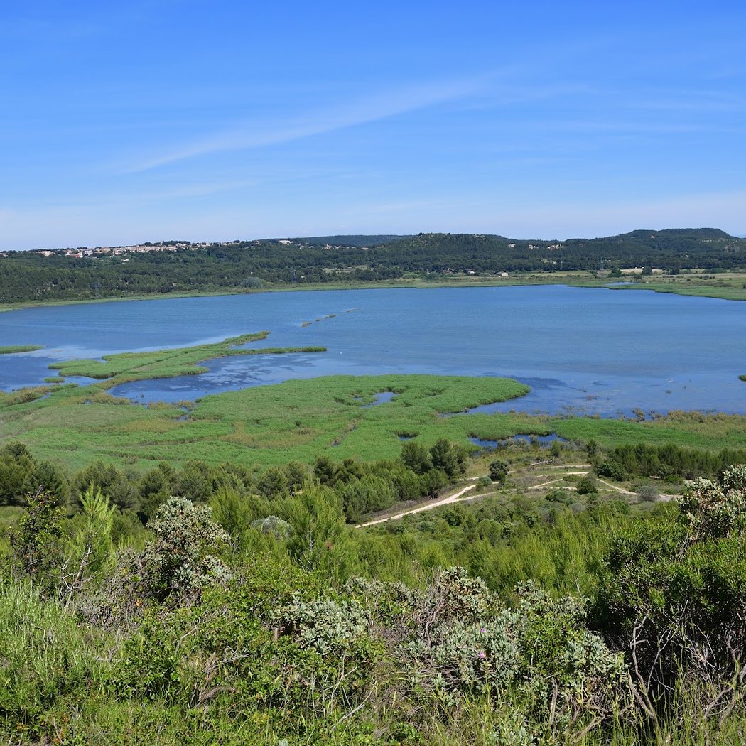 Forêt Domaniale de Castillon 2