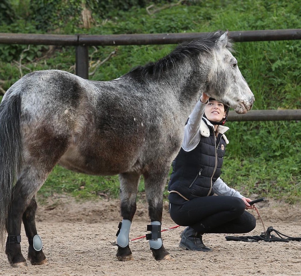 Equestrian Center De Maurecourt 3