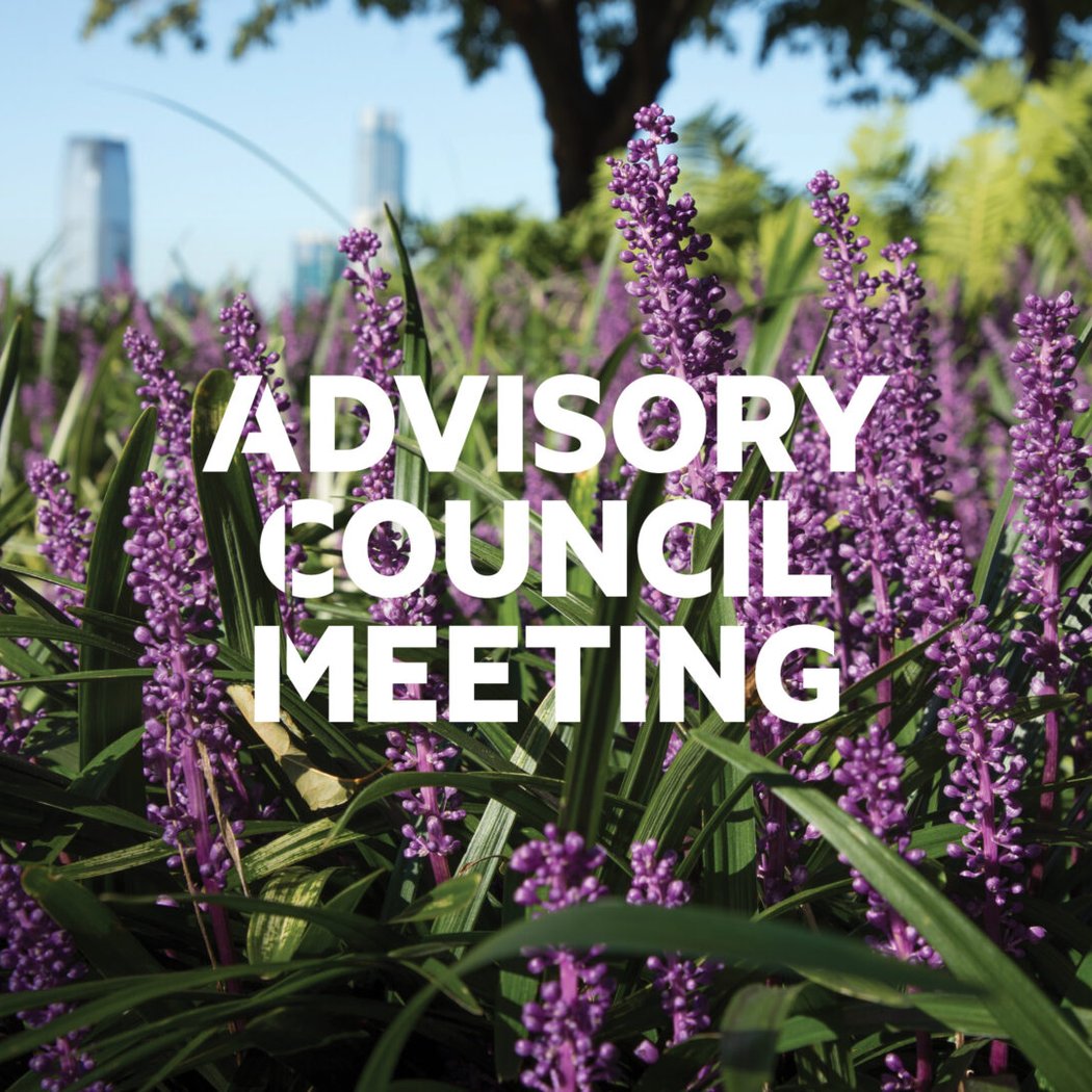 Advisory Council Meeting 1