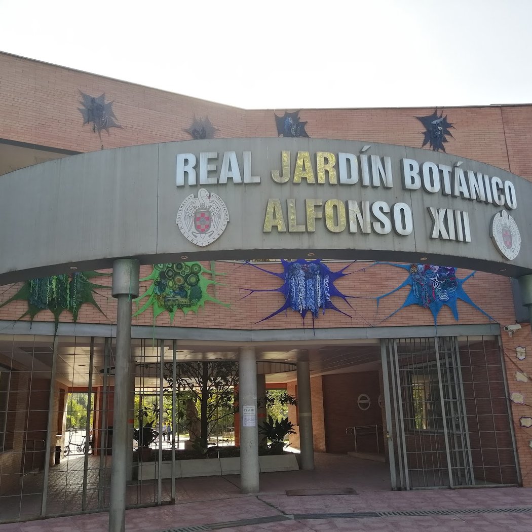 Real Jardín Botánico Alfonso XIII 3