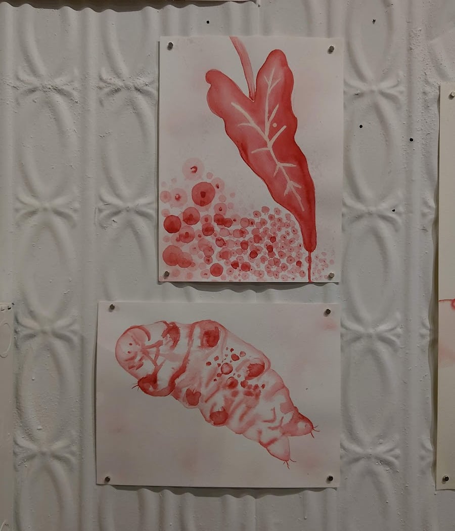 Lorimoto Gallery 2