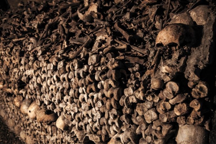 Catacombs of Paris 3