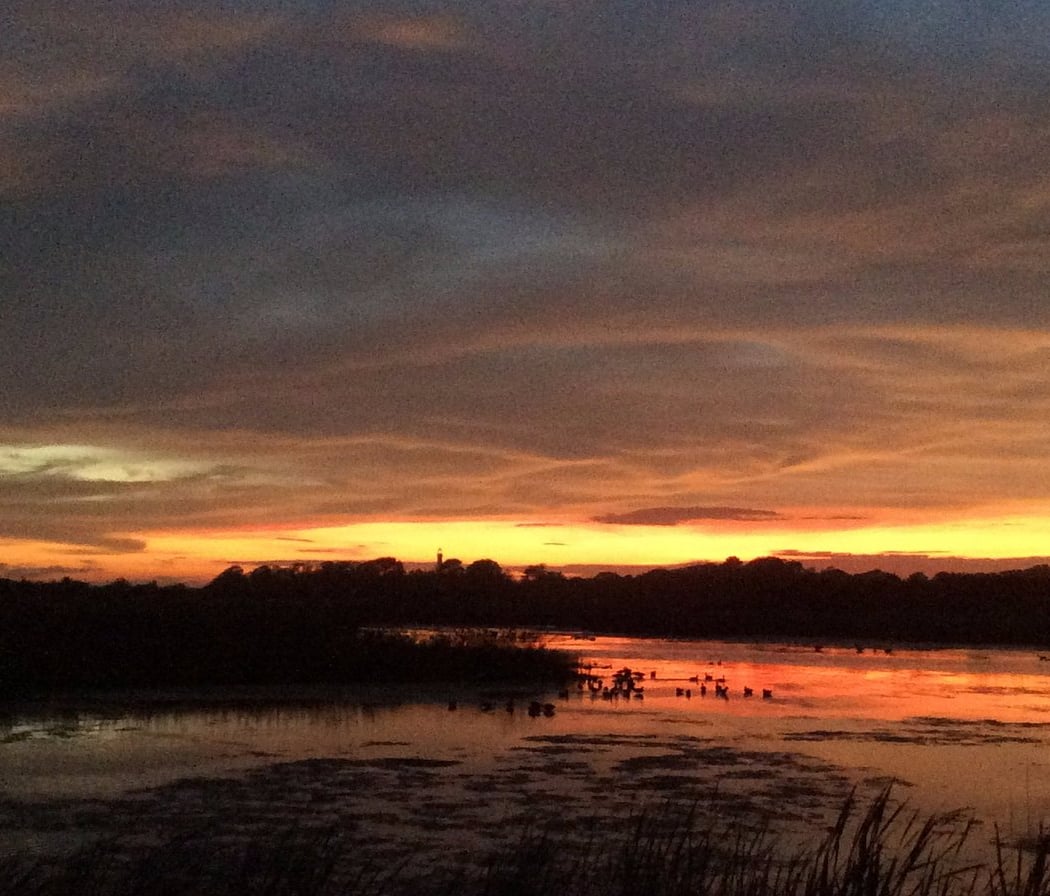 Twilight Walk at the Meadows 2