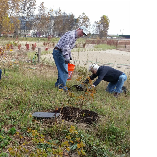 Clark Street Beach Bird Sanctuary Workday 1