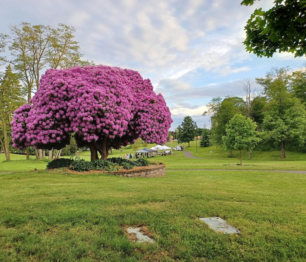 Juneteenth Celebration: It Takes a Village 1