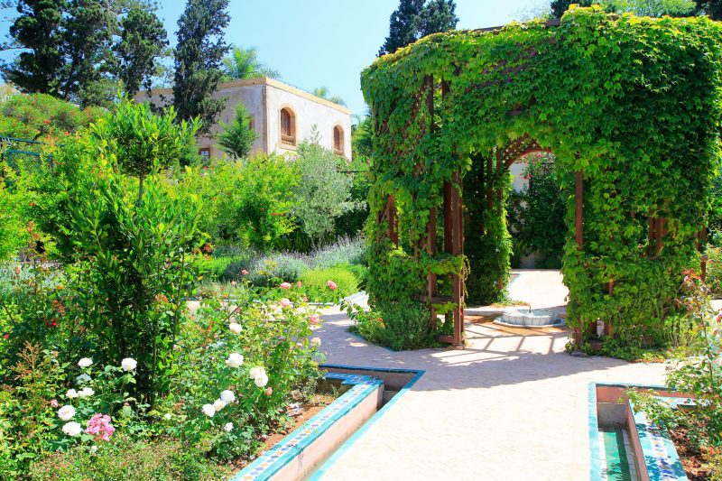 Botanical Garden 1