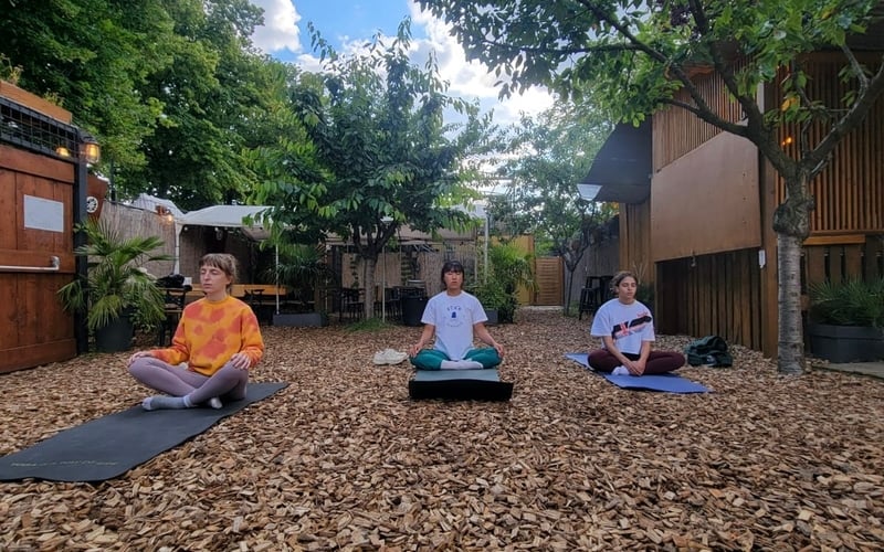Cours de yoga Vinyasa 1