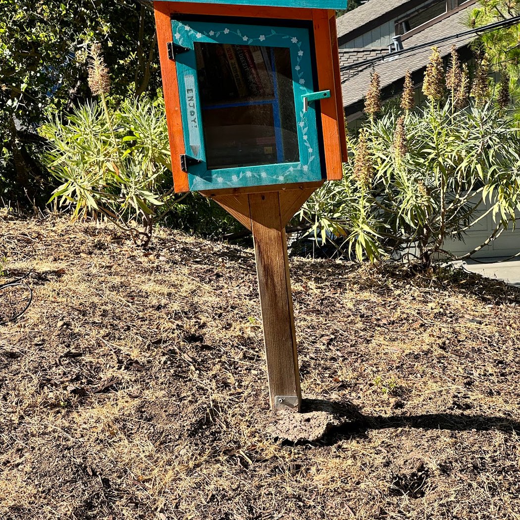 Little Free Library 1