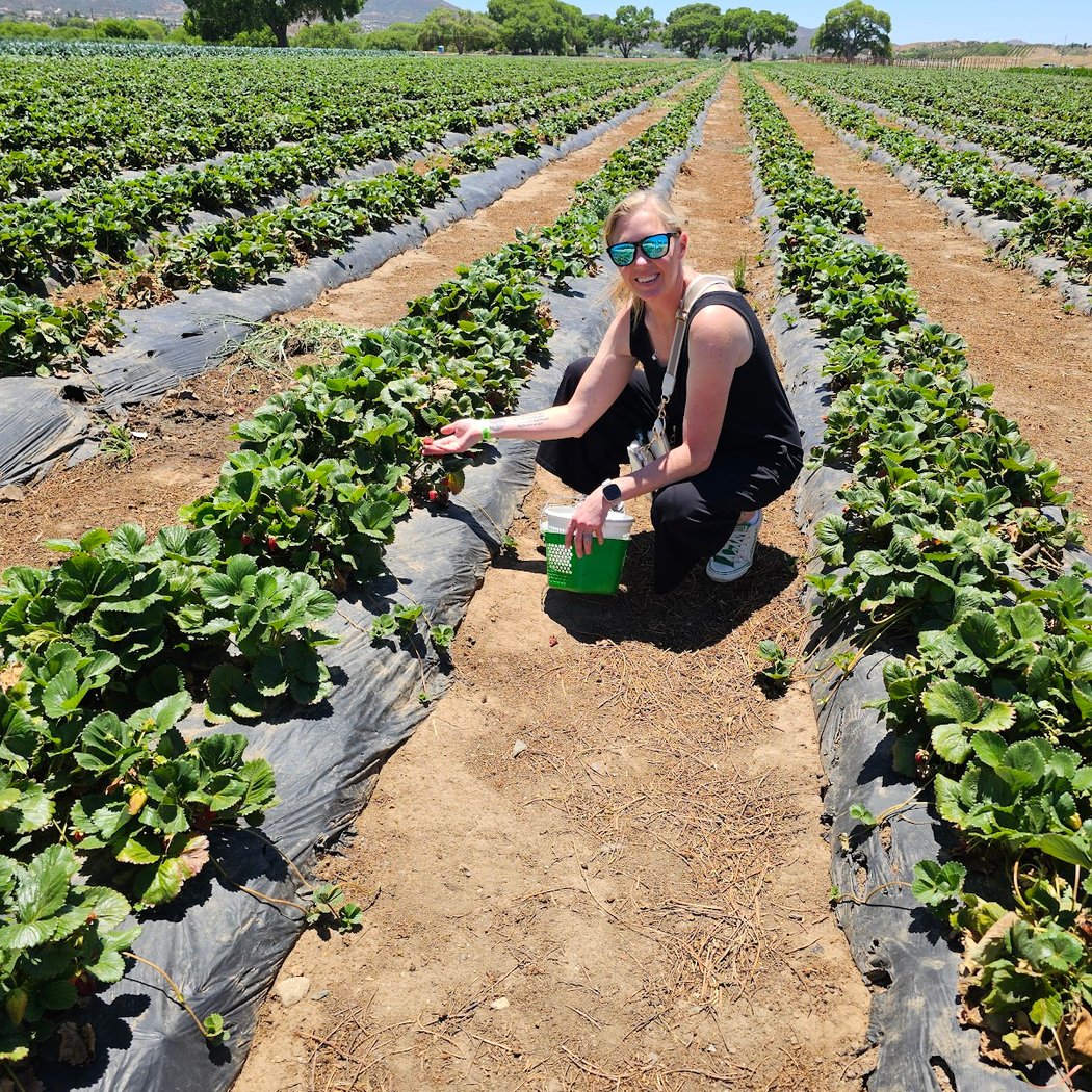 Mortimer Farms 1