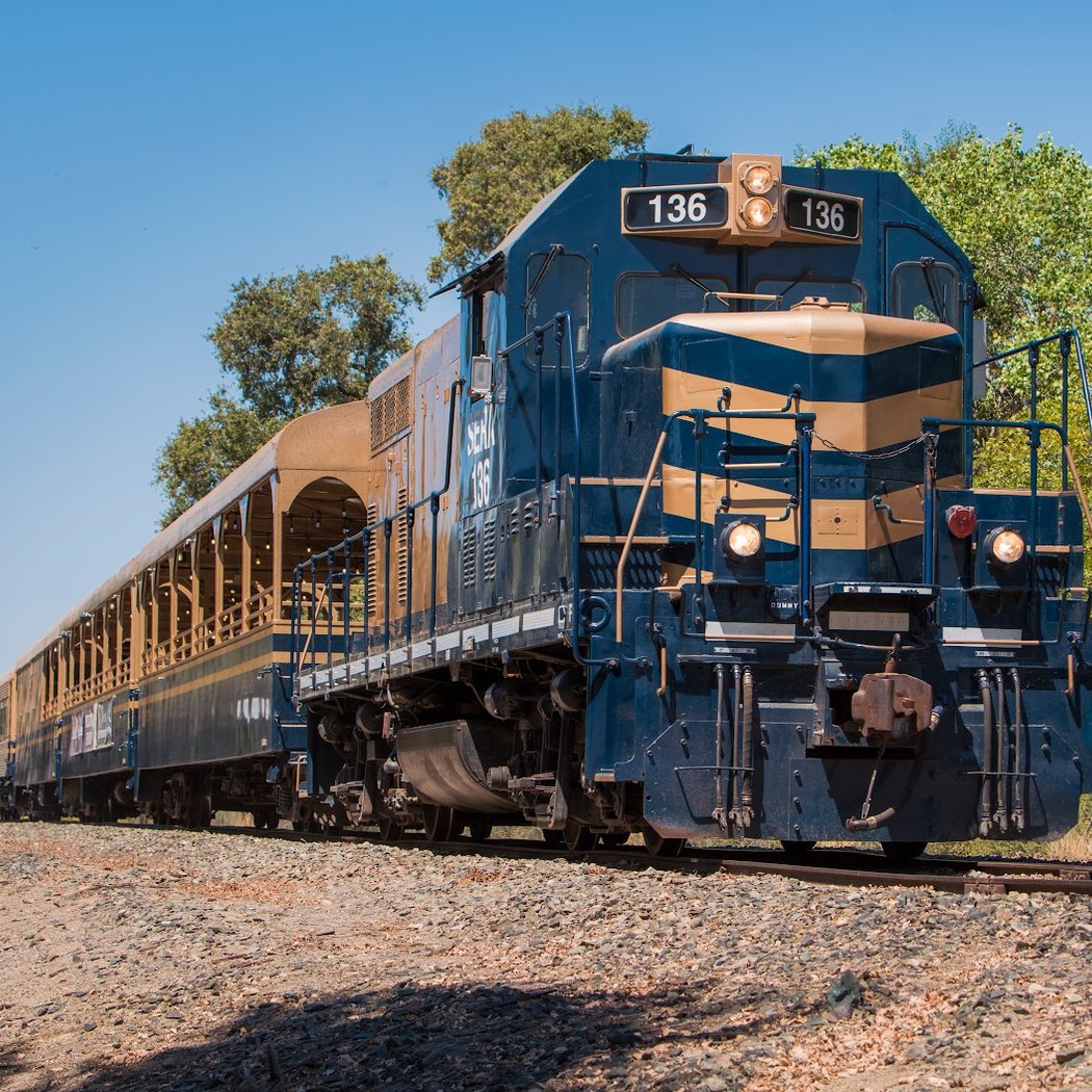 River Fox Train 2