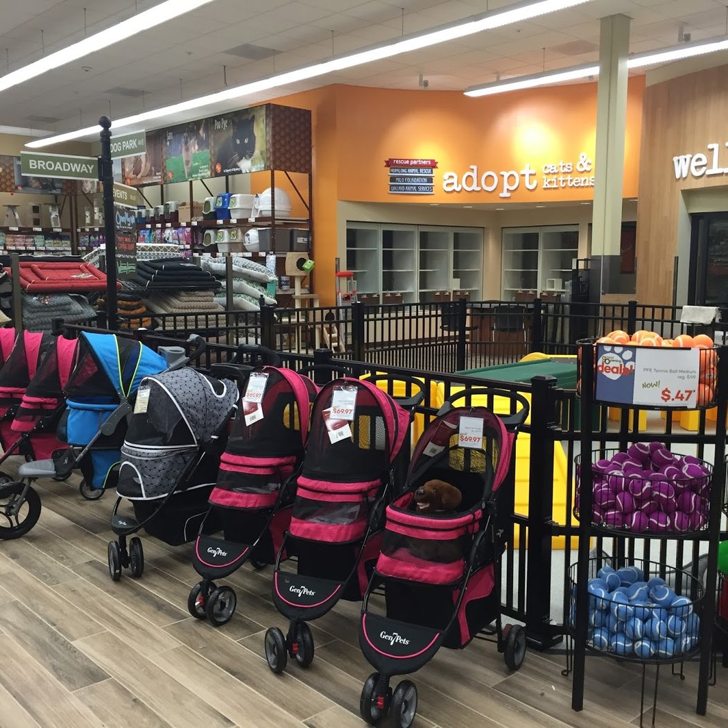 Dog Mobile Adoptions 3