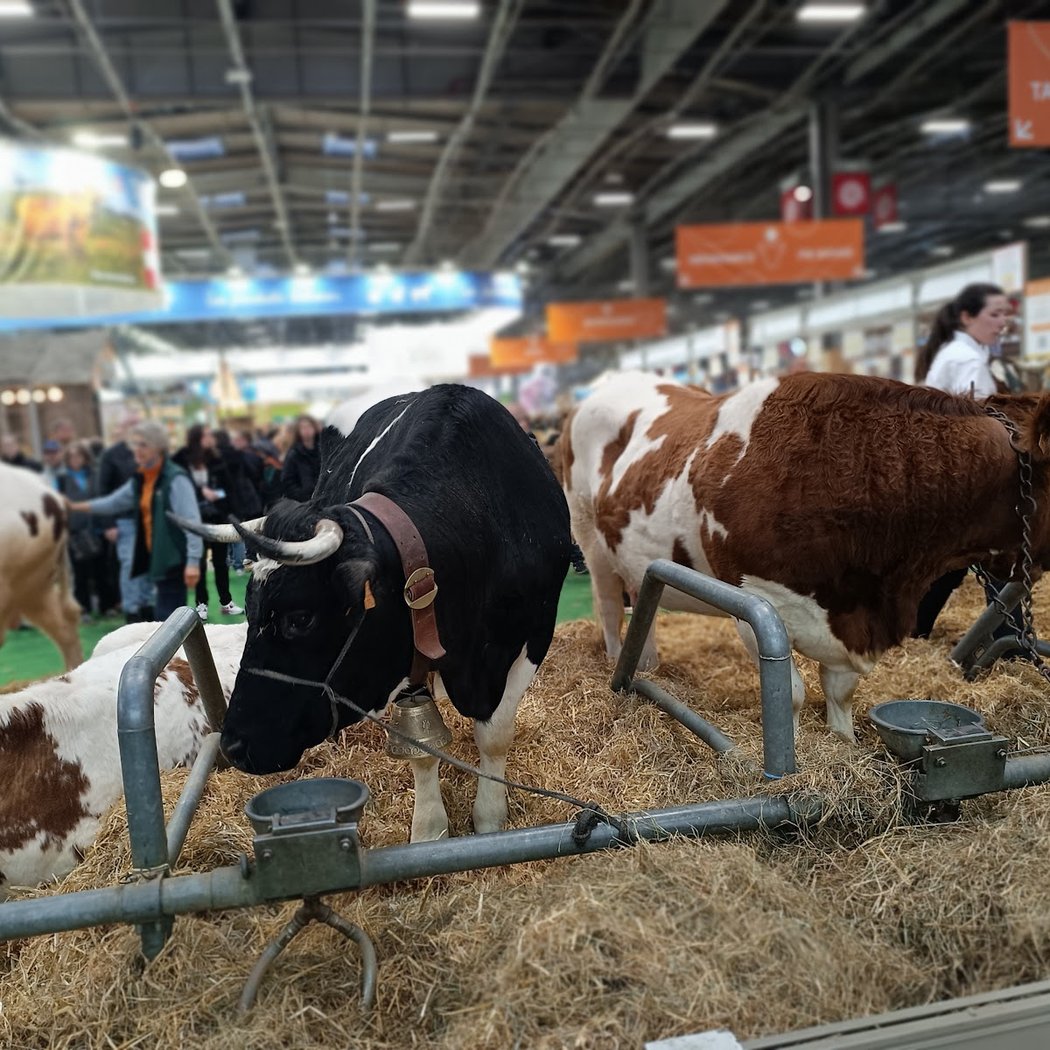 Salon de l’agriculture 5
