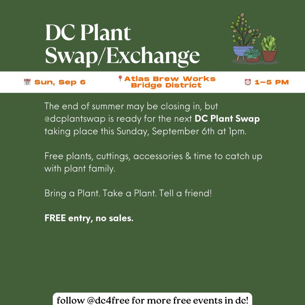 DC Plant Swap/Exchange 1