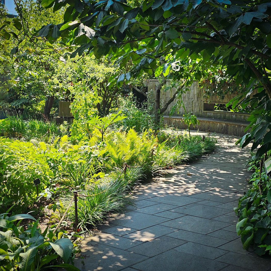 Herb Garden 1