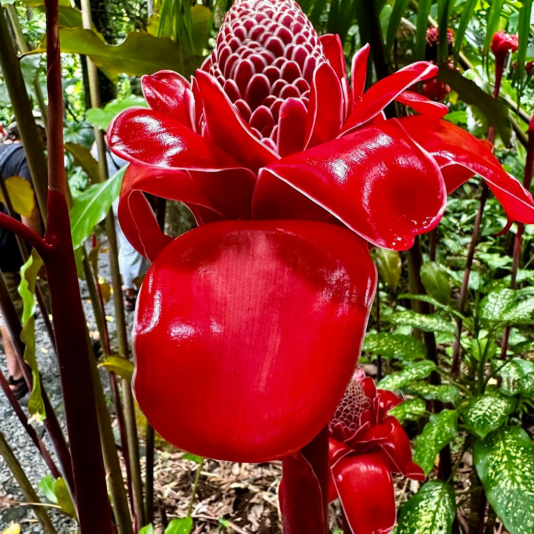 Parfums et Épices Garden 1
