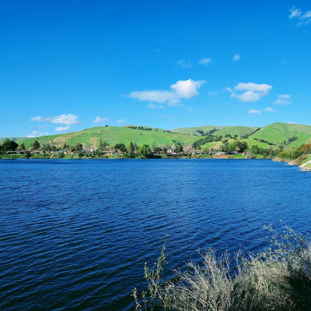 Shinn Pond 1