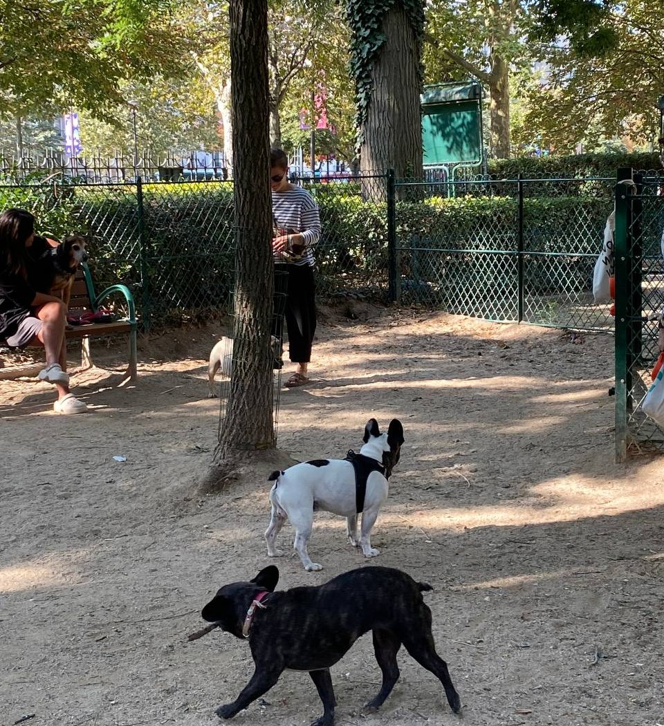 Espace canin - square rejane 1