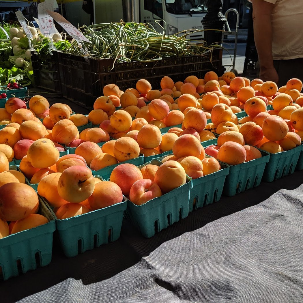 Tribeca Greenmarket 3