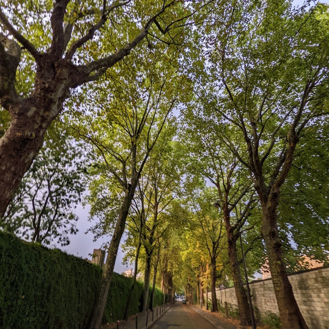 Rue Emile Richard 2