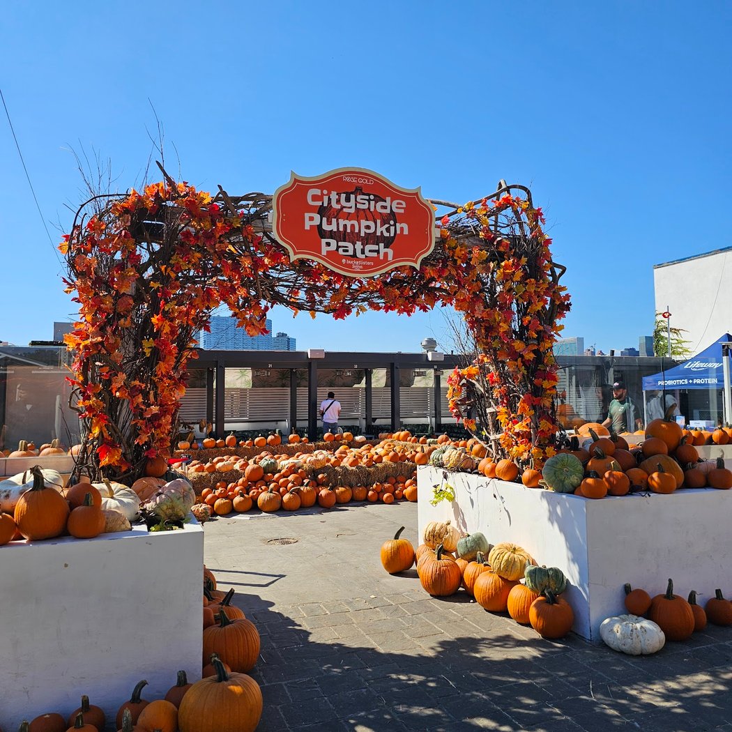 Cityside Pumpkin Patch 1