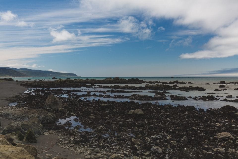 Black Sands Beach 2