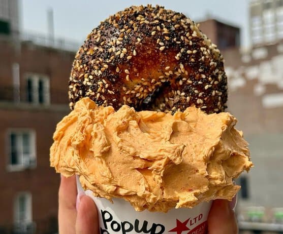 Noah's NY Bagels 1