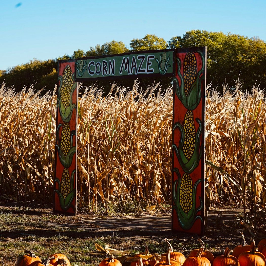 Autumn Harvest Festival 2