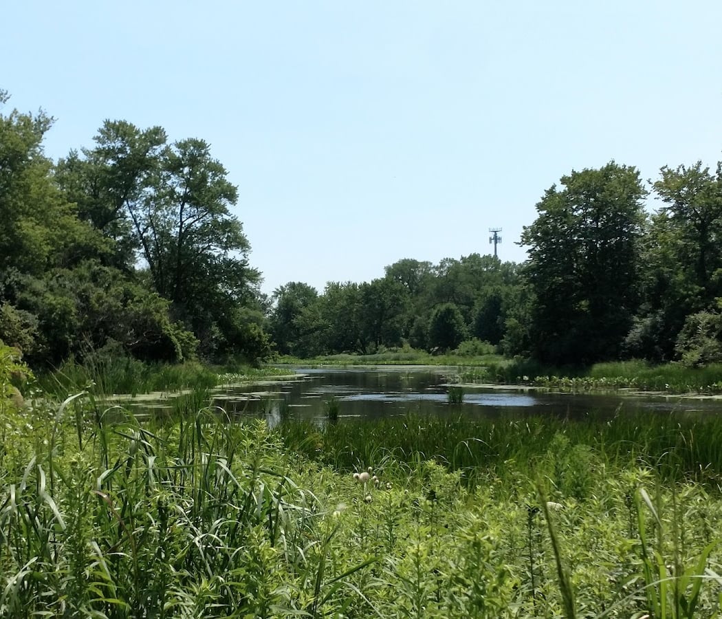 Volunteer Restoration Workdays 2