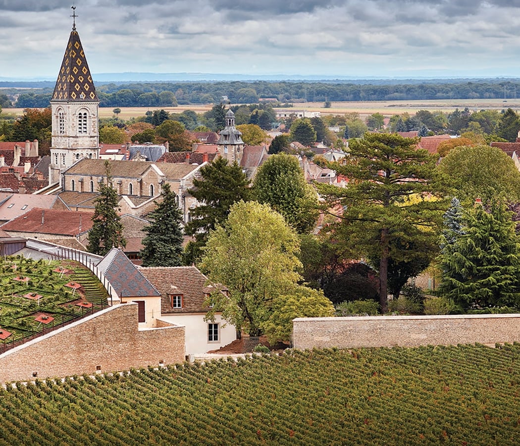 Exclusive Journey through the Burgundy Region 1